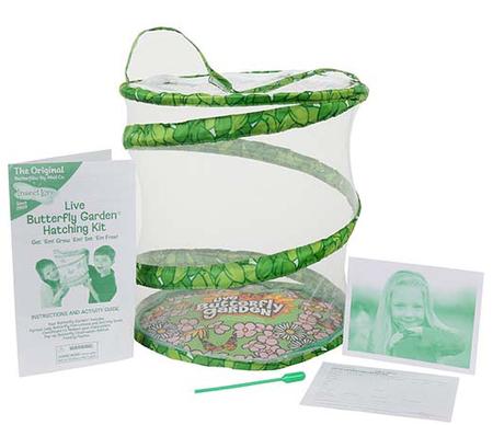 Live Butterfly Garden