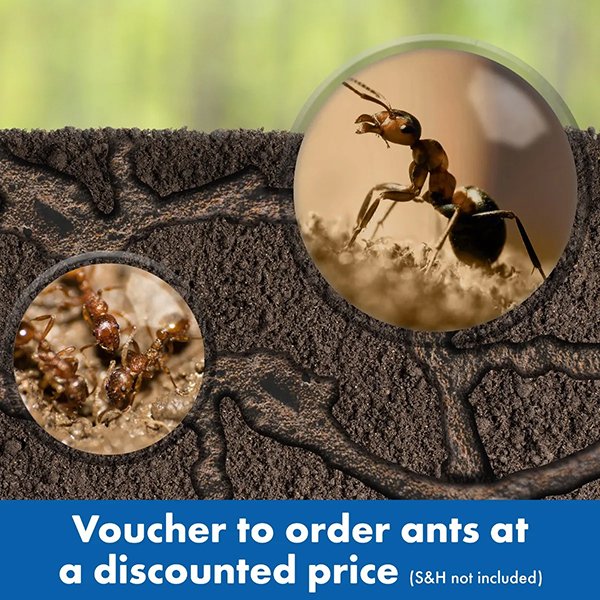 GeoSafari&#174 Ant Factory&#153