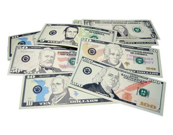 Play Money: Assorted Bills