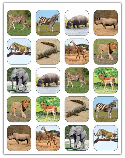 Safari Animals Stickers