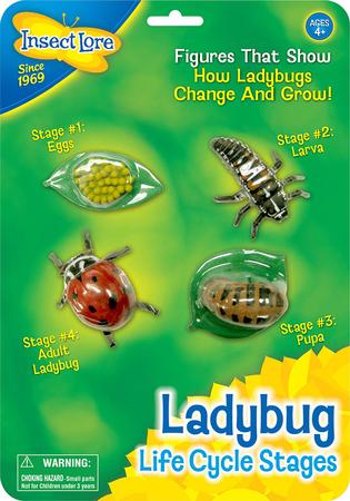 Ladybug Life Cycle Stages Figurines