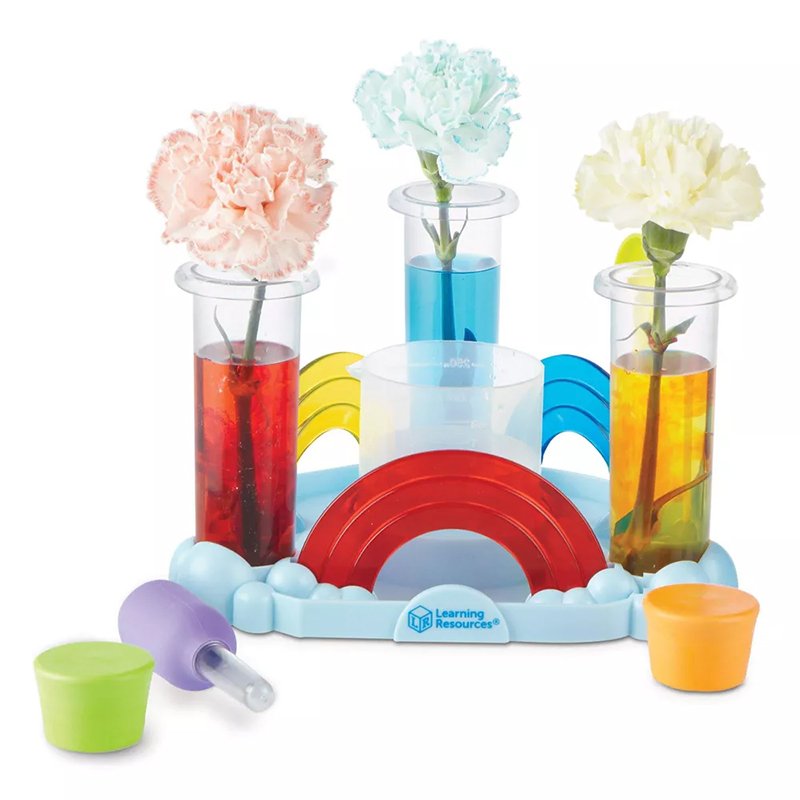 Preschool Science Rainbow Lab