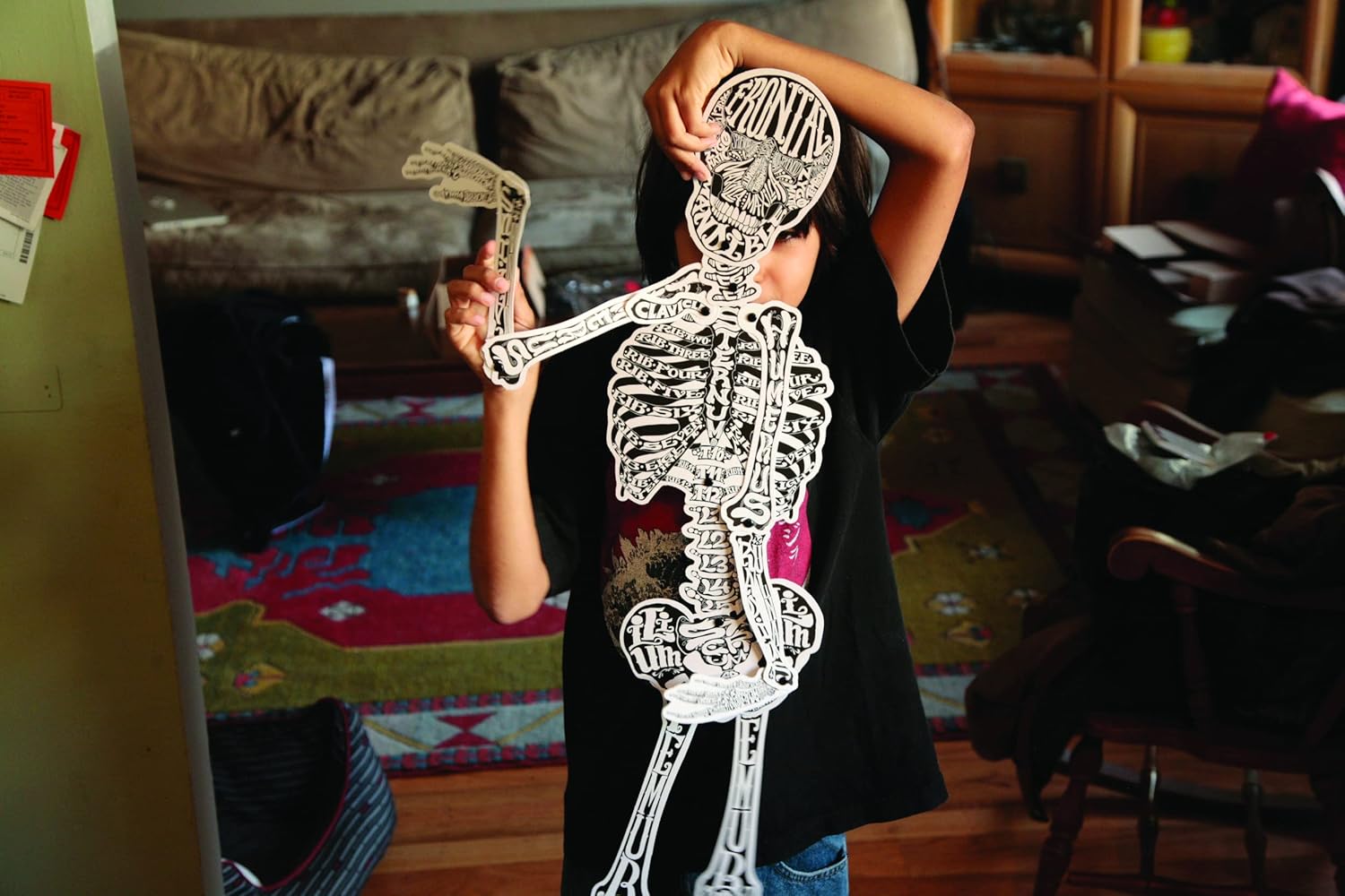 Human Anatomy For Kids Super Bundle