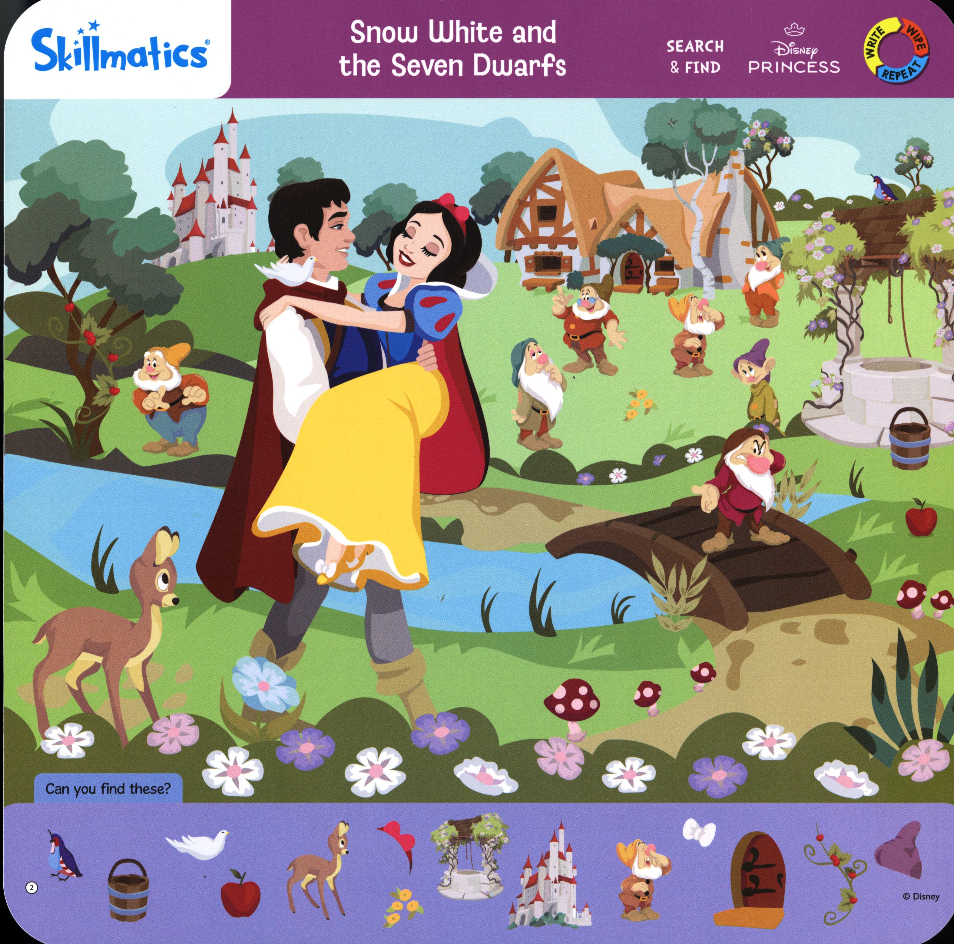 Search & Find Disney Princesses Write and Wipe Activity Mats