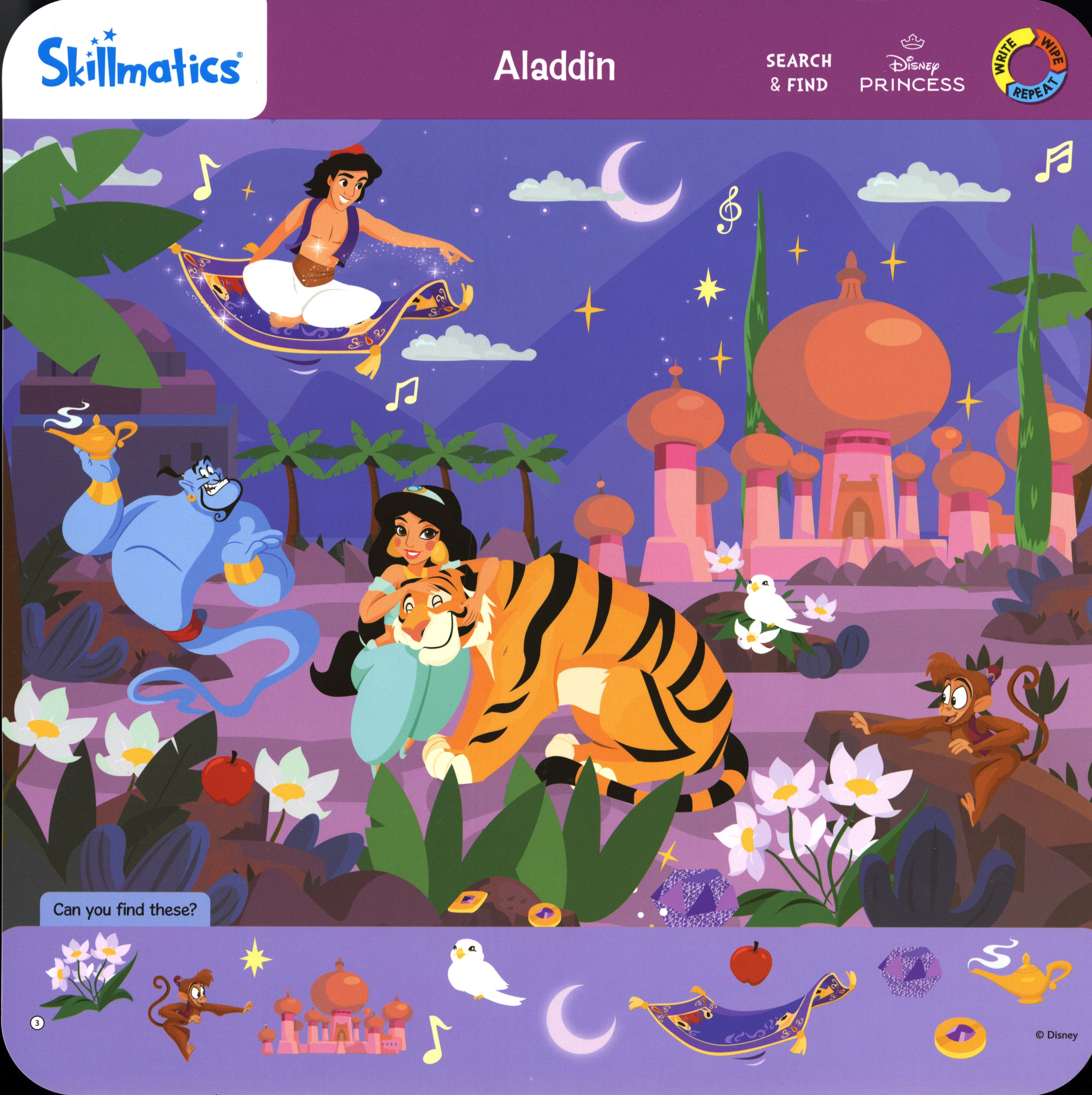 Search & Find Disney Princesses Write and Wipe Activity Mats