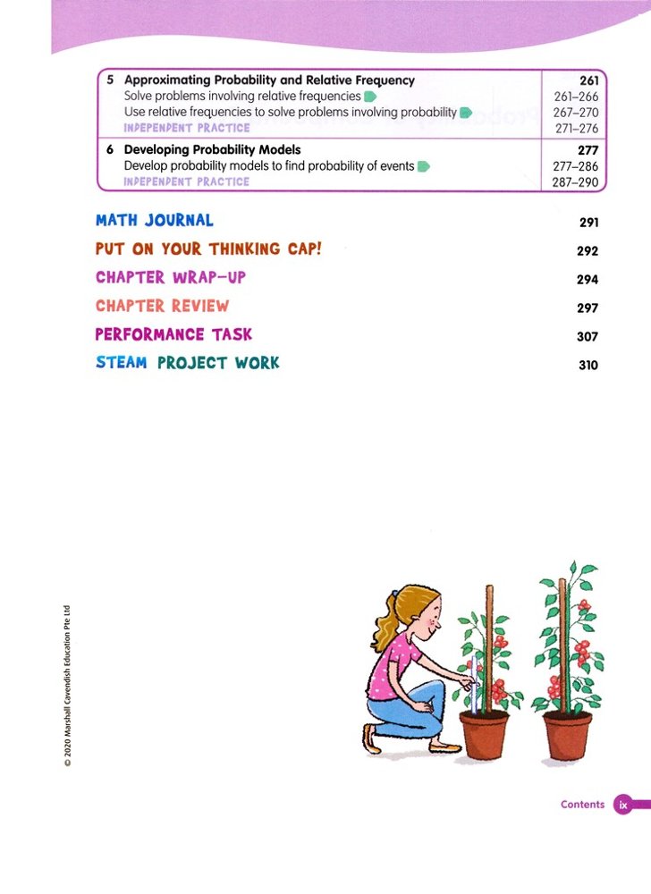 Math in Focus Student Edition Volume B Course 2 (Grade 7)