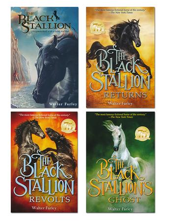 Black Stallion Adventure Set