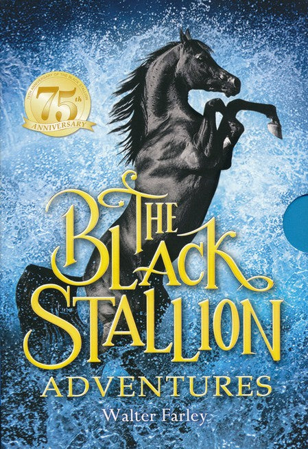 Black Stallion Adventure Set