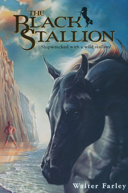 Black Stallion Adventure Set