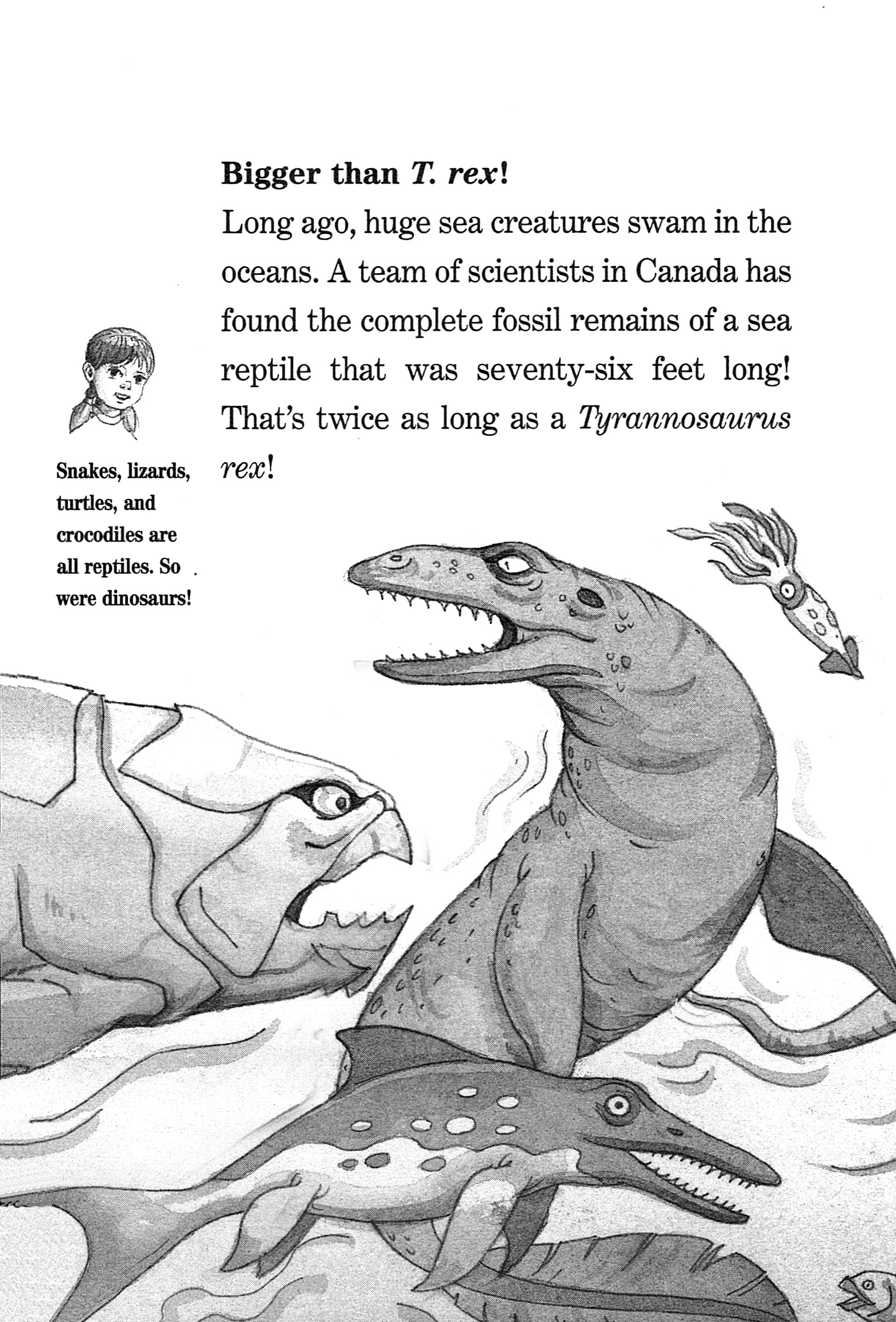 Magic Tree House Fact Tracker #17: Sea Monsters