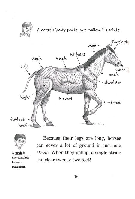 Magic Tree House Fact Tracker #27: Horse Heroes: A Nonfiction Companion to Magic Tree House #49: Stallion by Starlight