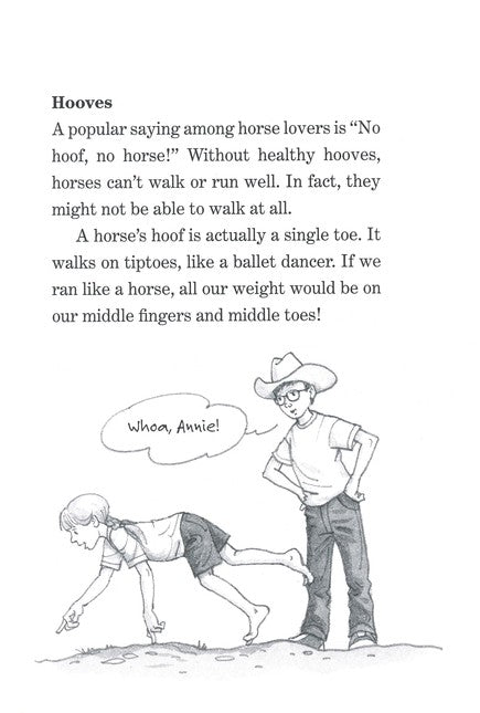 Magic Tree House Fact Tracker #27: Horse Heroes: A Nonfiction Companion to Magic Tree House #49: Stallion by Starlight