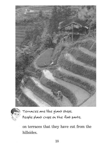 Magic Tree House Fact Tracker #31: China: Land of the Emperor's Great Wall: A Nonfiction Companion to Magic Tree House #14: Day of the Dragon King