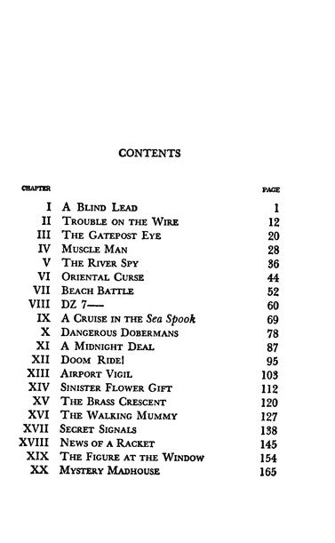 The Hardy Boys' Mysteries #16: A Figure in Hiding