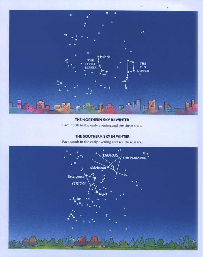 Glow-In-The-Dark Constellations: A Field Guide for Young Stargazers