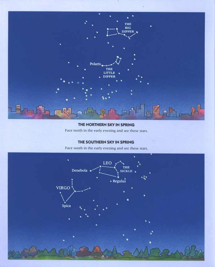 Glow-In-The-Dark Constellations: A Field Guide for Young Stargazers