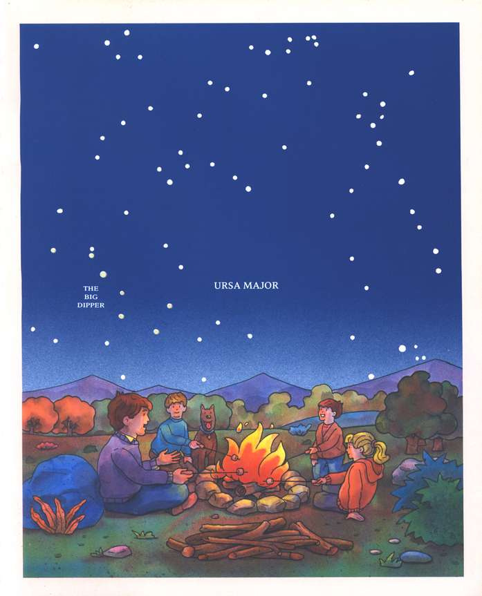 Glow-In-The-Dark Constellations: A Field Guide for Young Stargazers