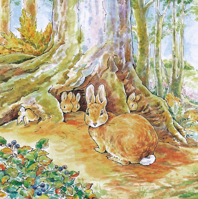 The Tale of Peter Rabbit