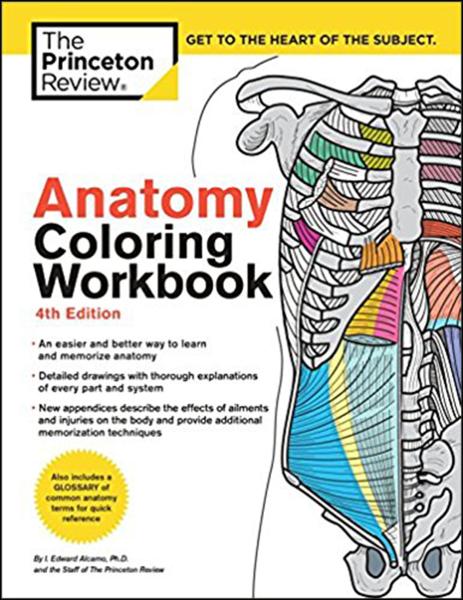 Anatomy Coloring Workbook, Fourth Edition