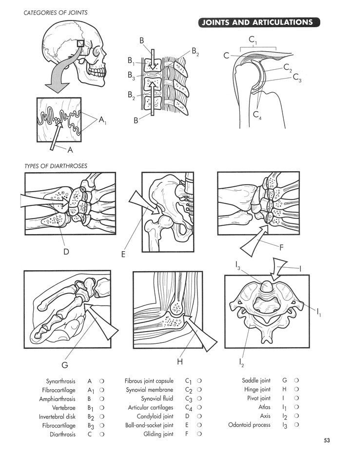 Anatomy Coloring Workbook, Fourth Edition