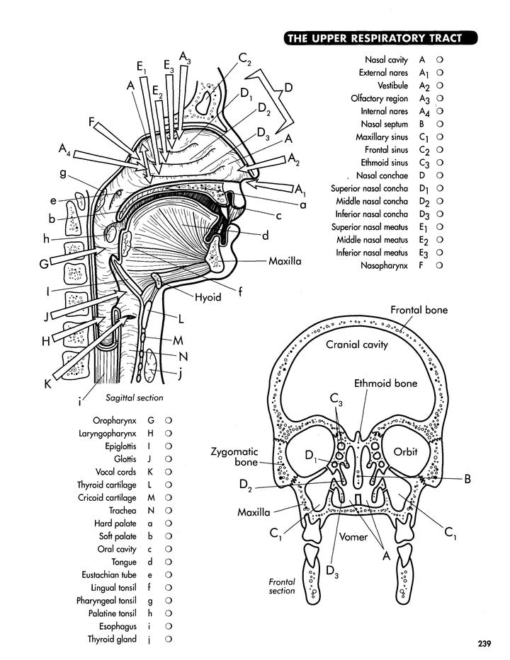 Anatomy Coloring Workbook, Fourth Edition