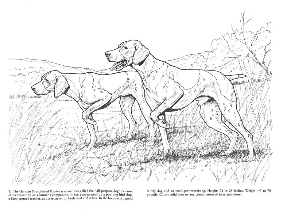 Favorite Dogs Coloring Book