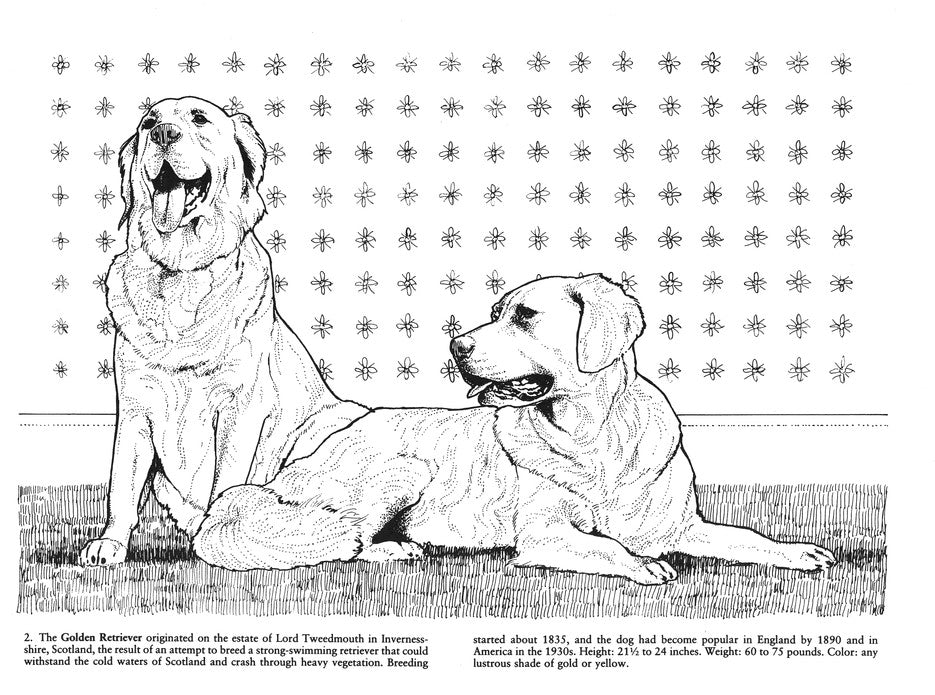 Favorite Dogs Coloring Book