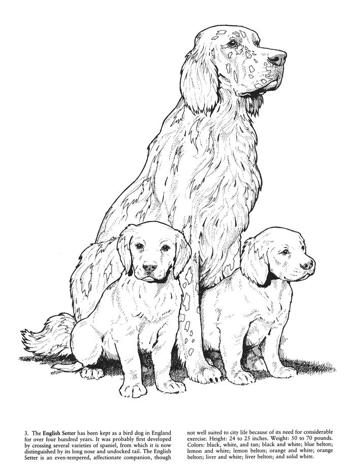 Favorite Dogs Coloring Book