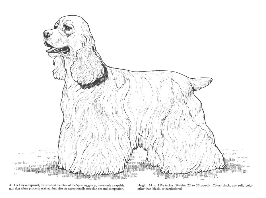 Favorite Dogs Coloring Book