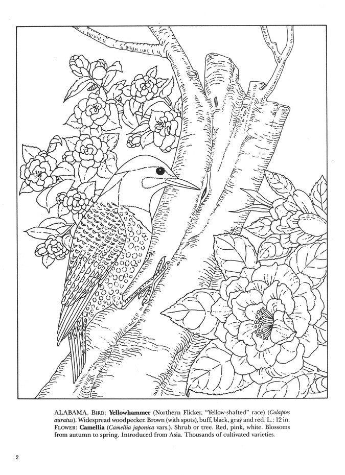 State Birds and Flowers -- coloring book