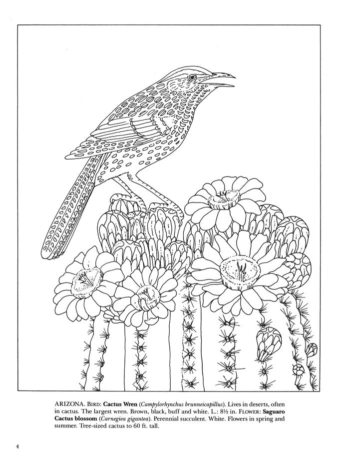 State Birds and Flowers -- coloring book