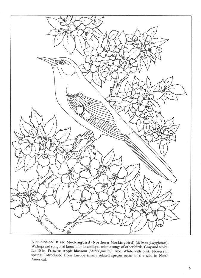 State Birds and Flowers -- coloring book