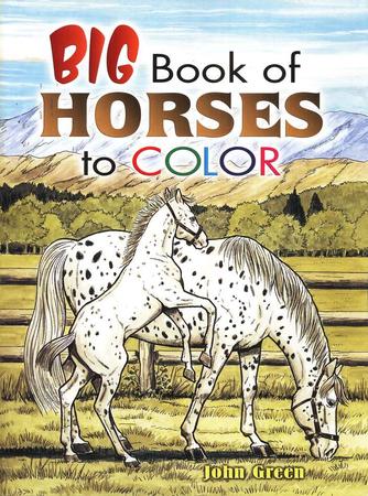 Big Book of Horses to Color