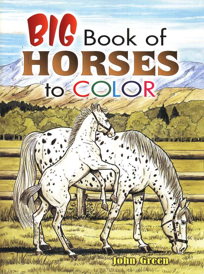 Big Book of Horses to Color