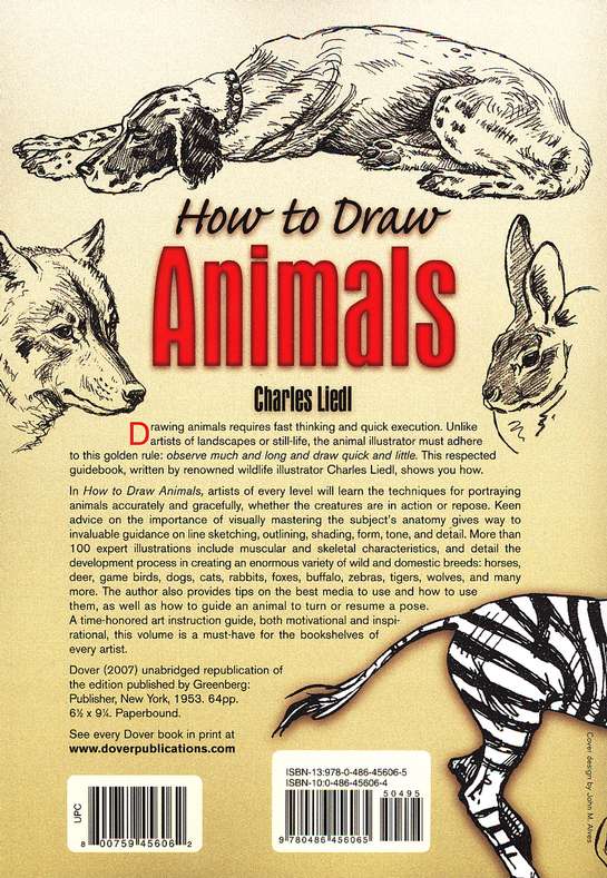 How to Draw Animals