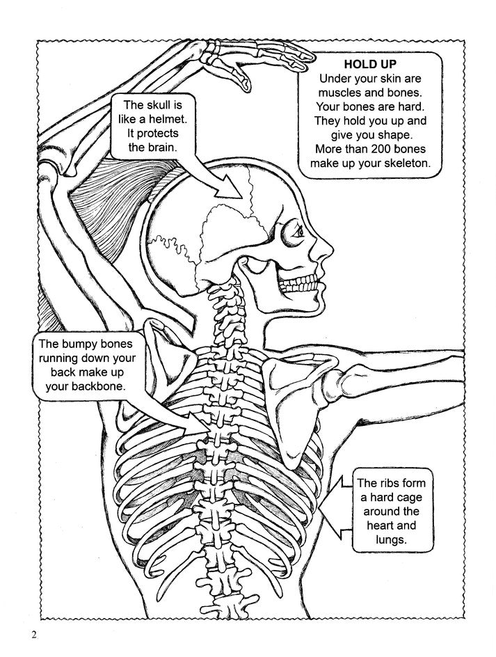 My First Human Body Book