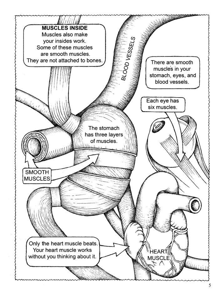 My First Human Body Book