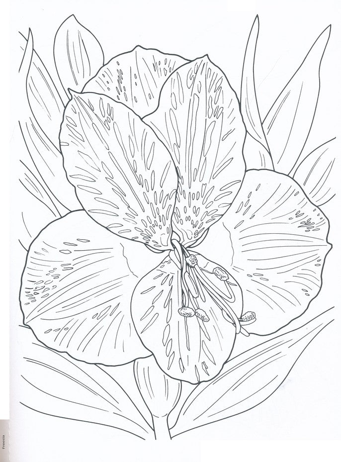 Tropical Blooms Coloring Book