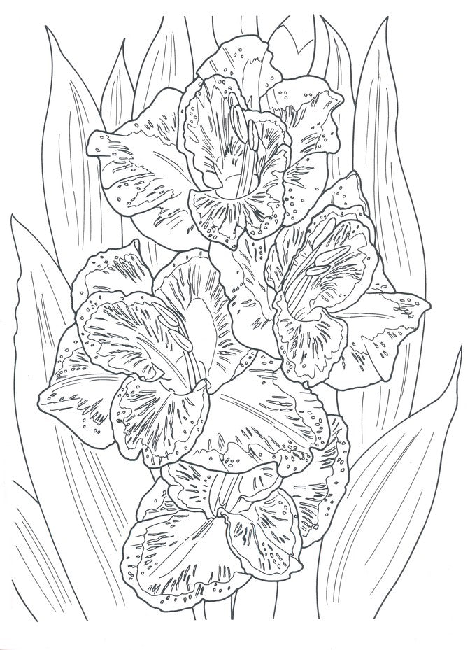 Tropical Blooms Coloring Book