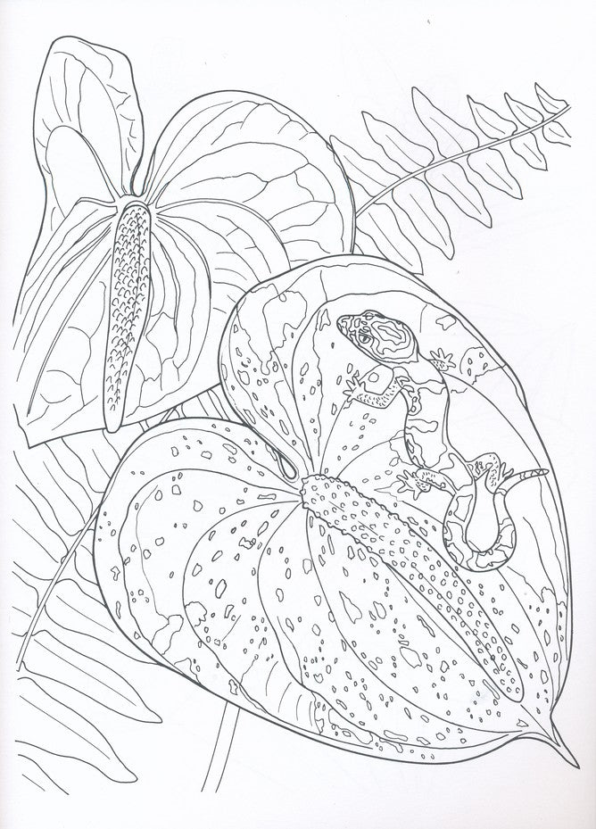 Tropical Blooms Coloring Book