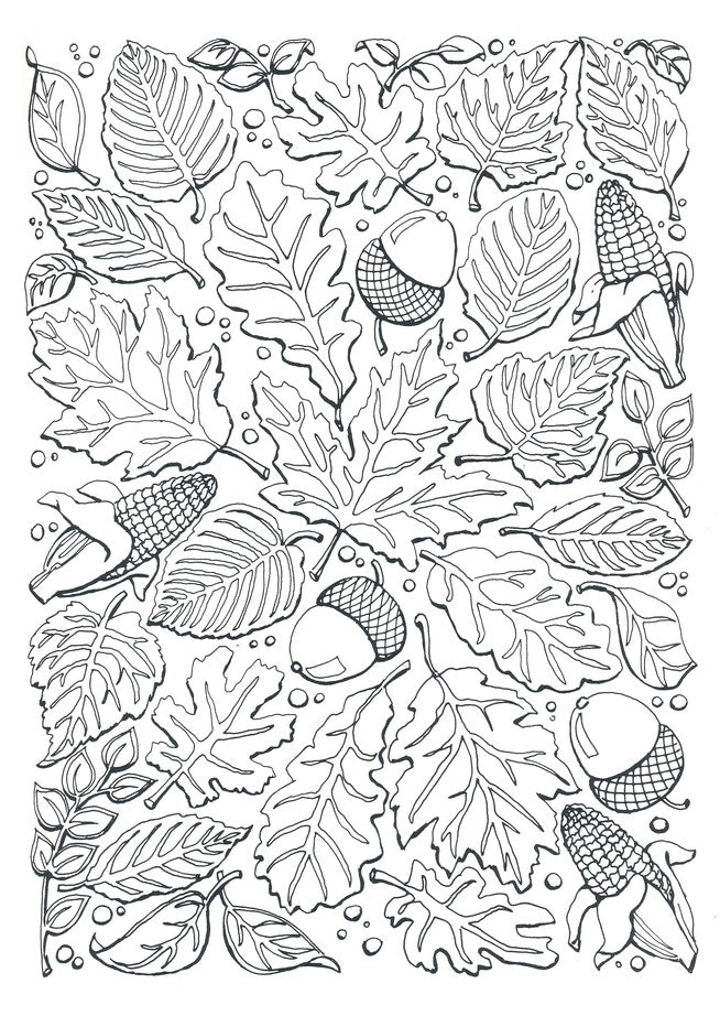 Autumn Scenes Coloring Book