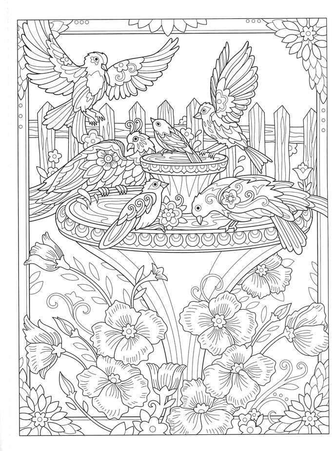 Birds and Blossoms Coloring Book