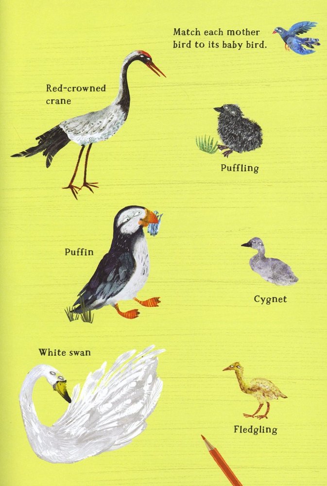 The Big Sticker Book of Birds