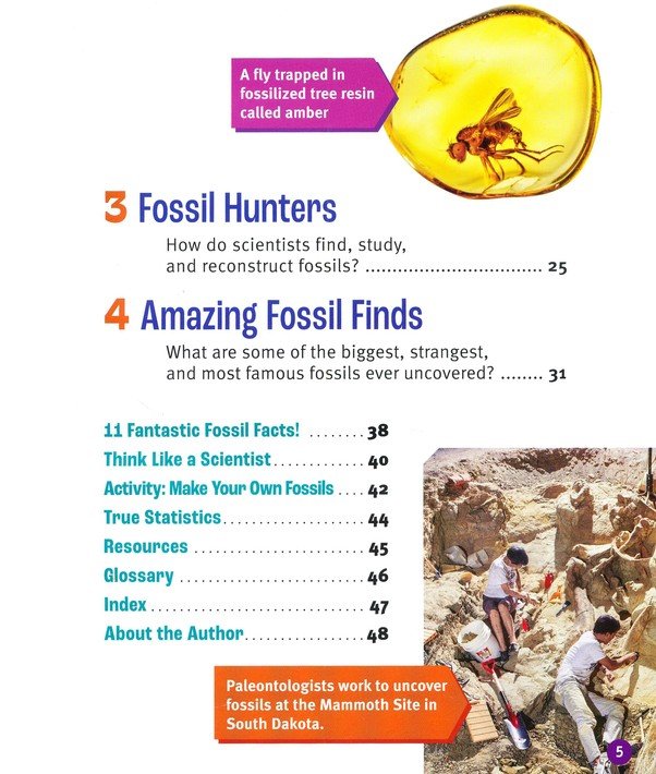 All About Fossils: Discovering Dinosaurs and Other Clues to the Past