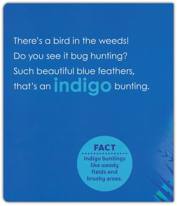 Birding for Babies: Migrating Birds: A Colors Book