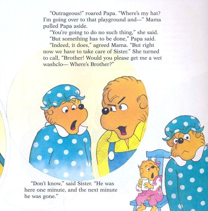 The Berenstain Bears and the Bully