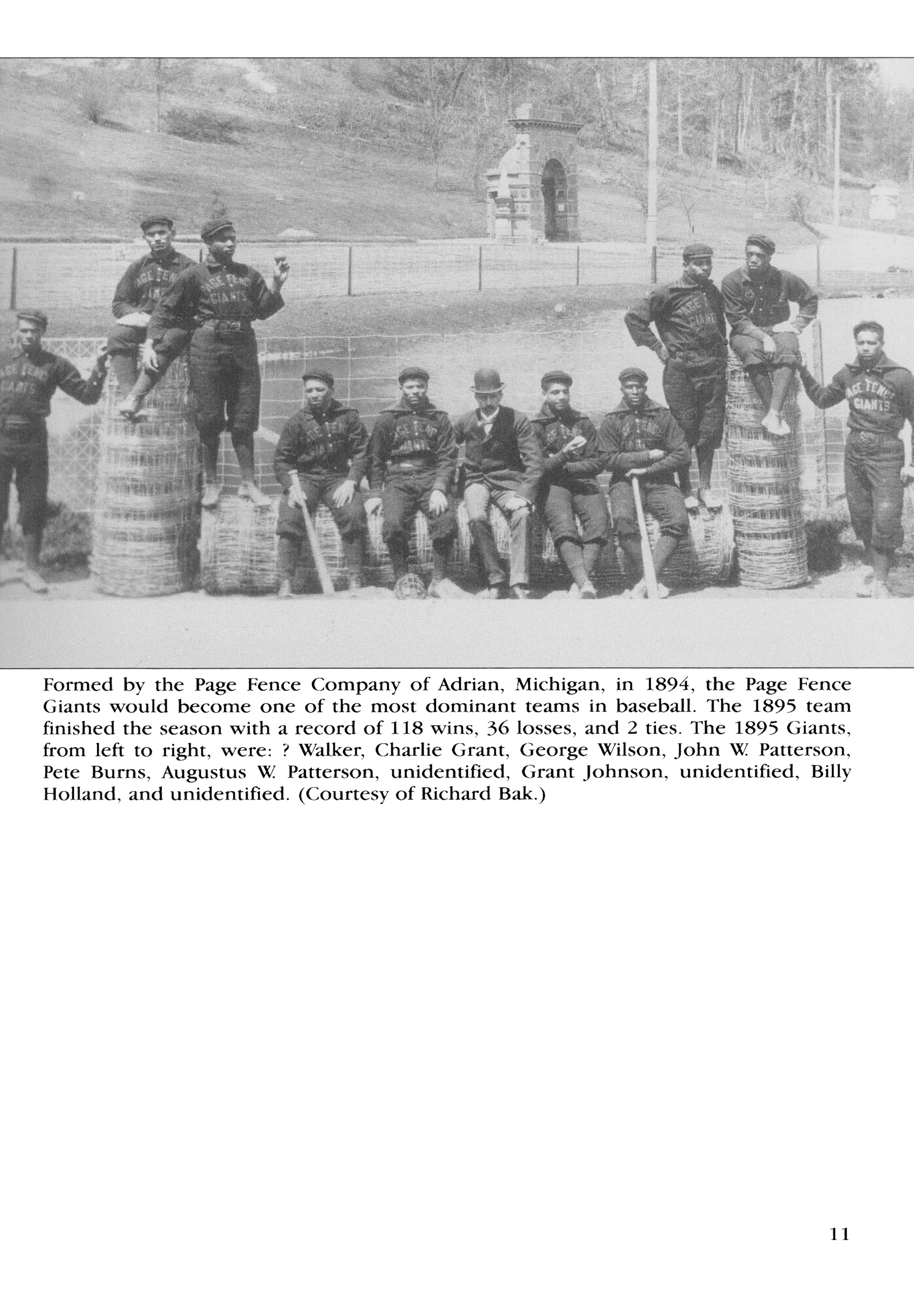 Black Baseball In Chicago
