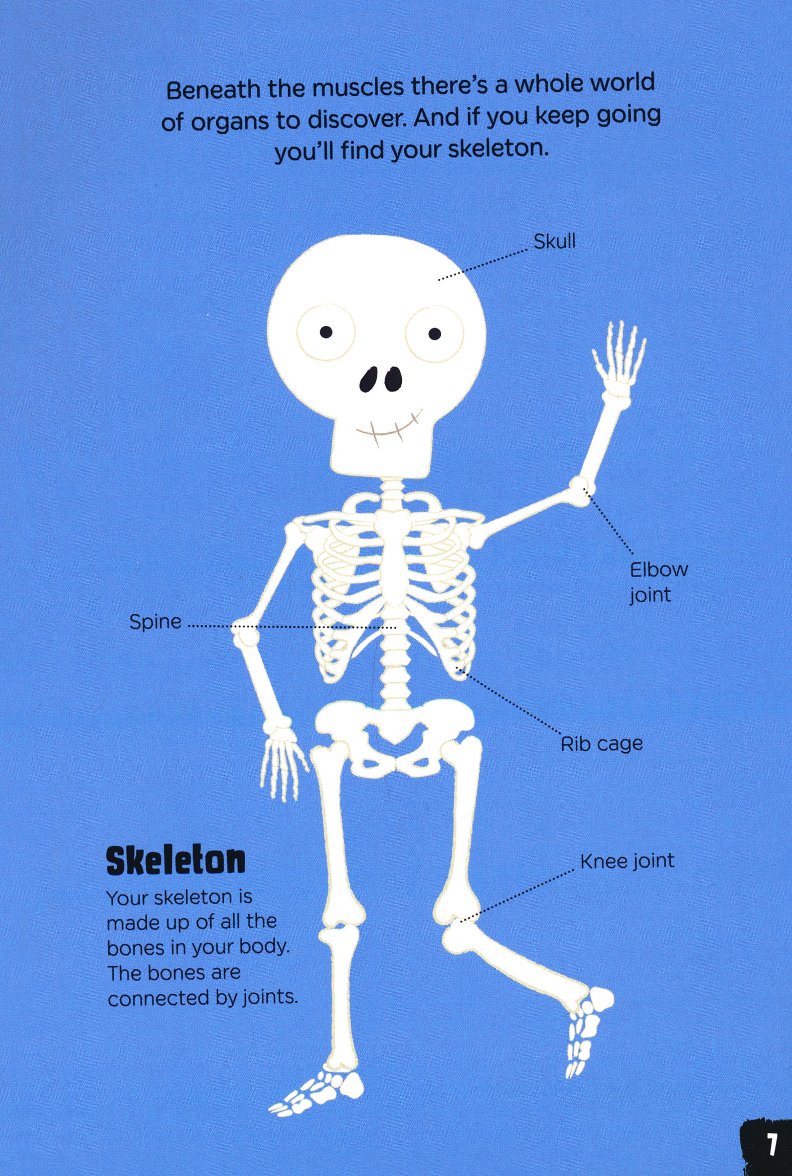 Gross and Ghastly Human Body The Big Book of Disgusting Human Body Facts