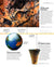 Timelines of World History