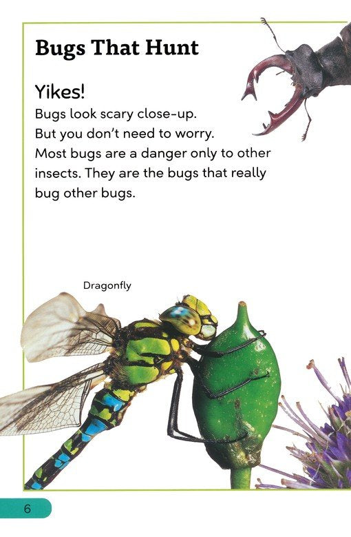 DK Super Readers Level 3: Bugs! Bugs! Bugs!